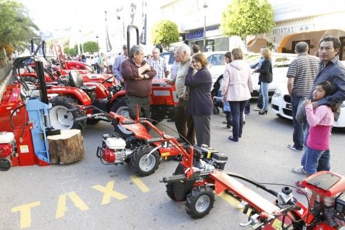 Fiestas del Santa Eulària