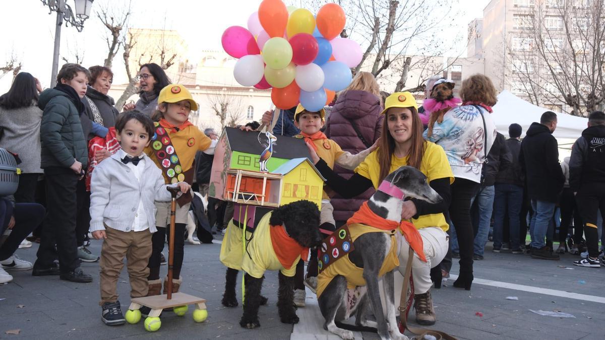 Un perro disfrazado de Up.