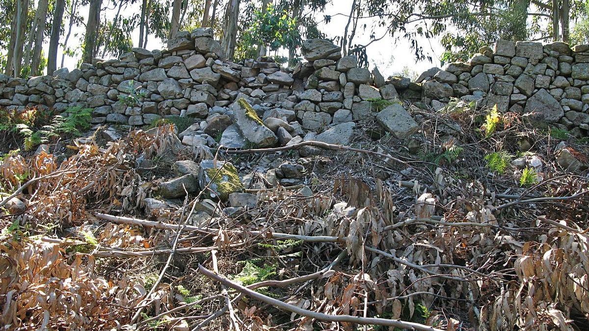 Muro del castro de Pastoriza que sufrió daños en 2016.   | // LA OPINIÓN