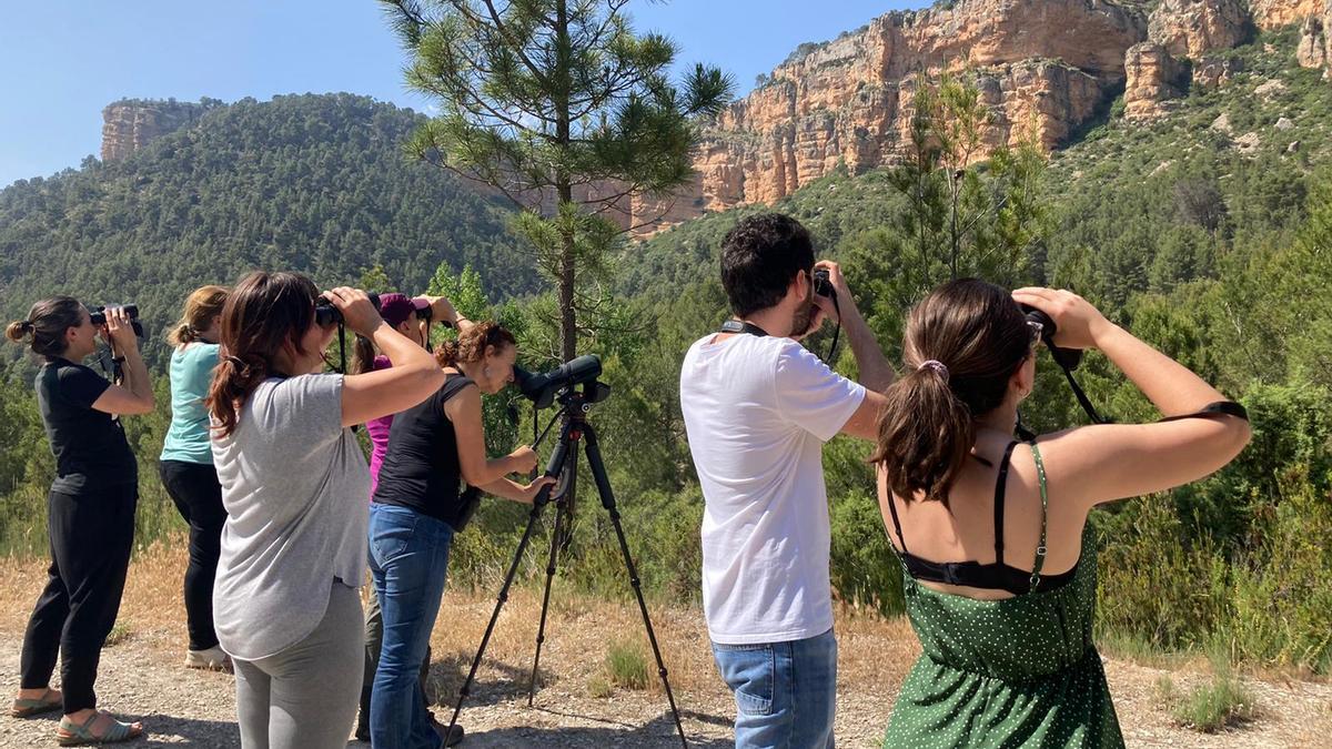 Birding en el Alto Túria