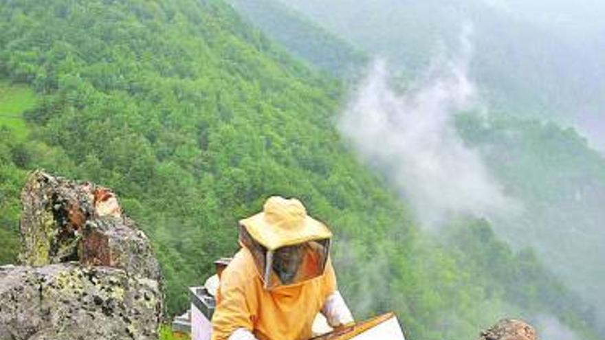 Un apicultor recoge sus colmenas en una zona de alta montaña.