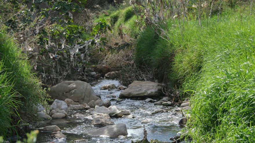 El río Vinalopó a su paso por Elda, en una imagen de archivo.