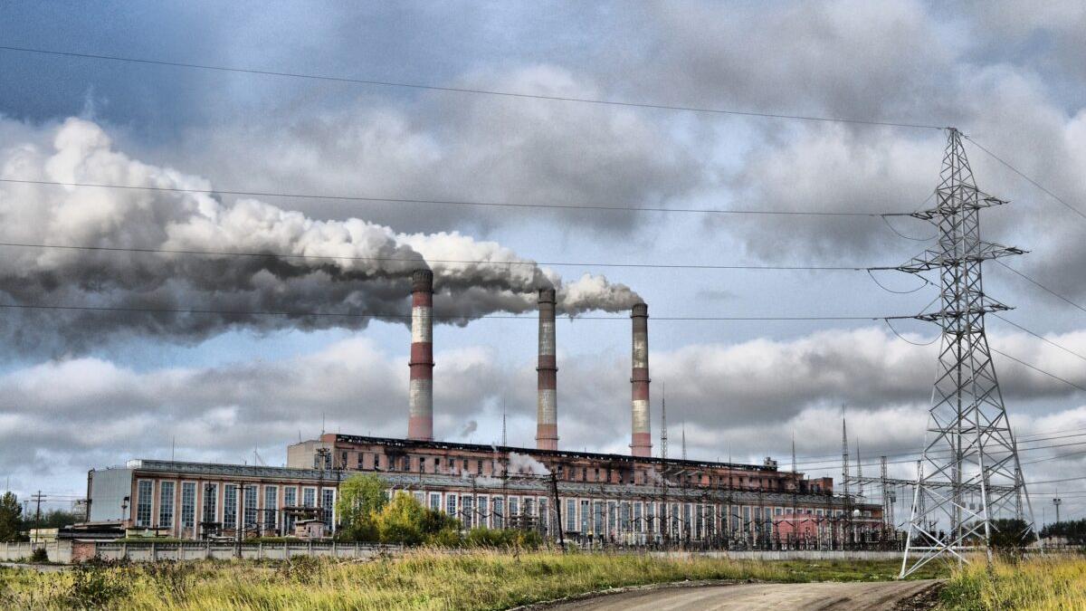 Las seis formas en que la destrucción del medio ambiente daña la salud