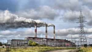 Las seis formas en que la destrucción del medio ambiente daña la salud