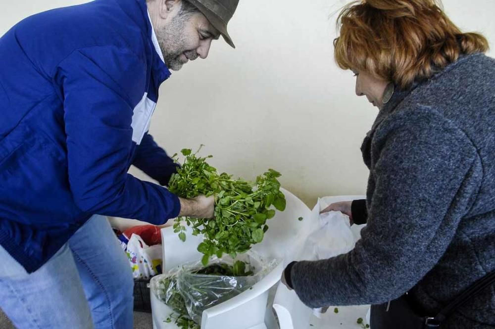 Mercado de berros a 1 euro en Ingenio