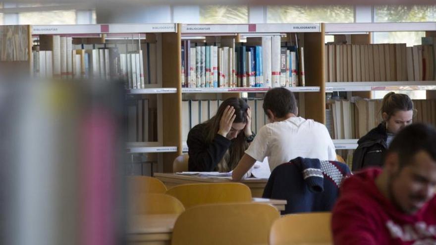 Estudiantes en la Biblioteca General de la Universidad de Alicante, en una imagen reciente.