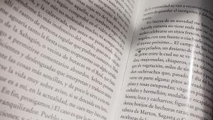 Dos páginas de un libro de papel.