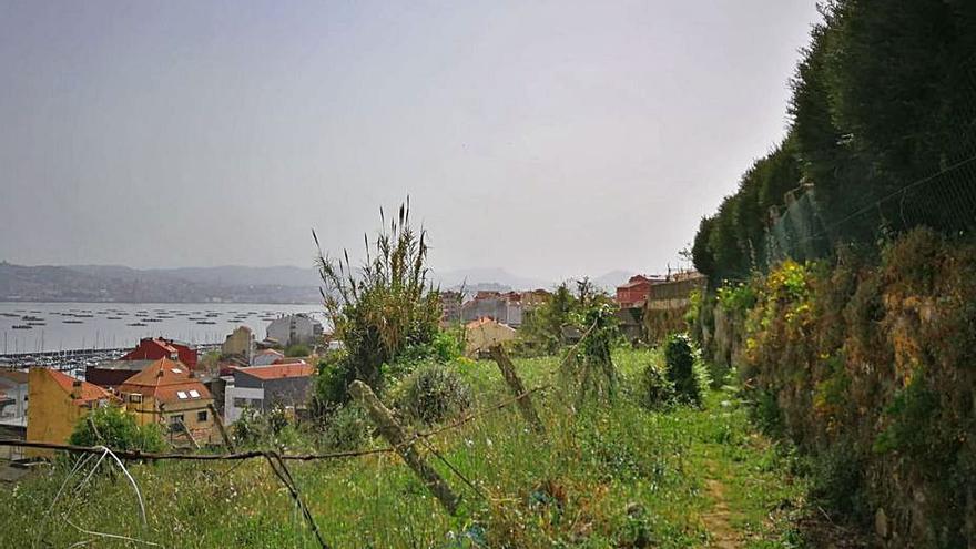 Estado actual del sendero de A Lagarteira. |   // CSA ARQUITECTURA