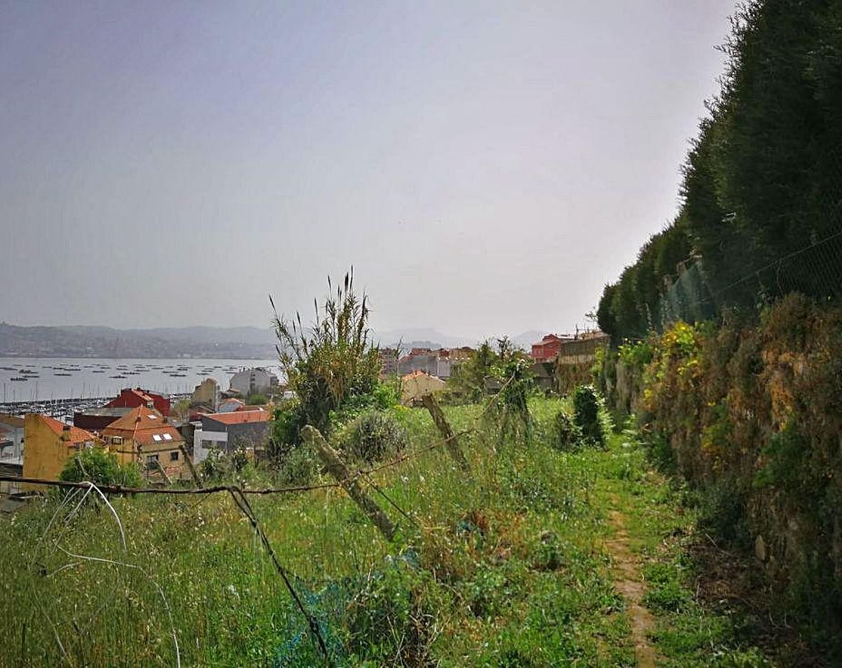 Estado actual del sendero de A Lagarteira. | // CSA ARQUITECTURA