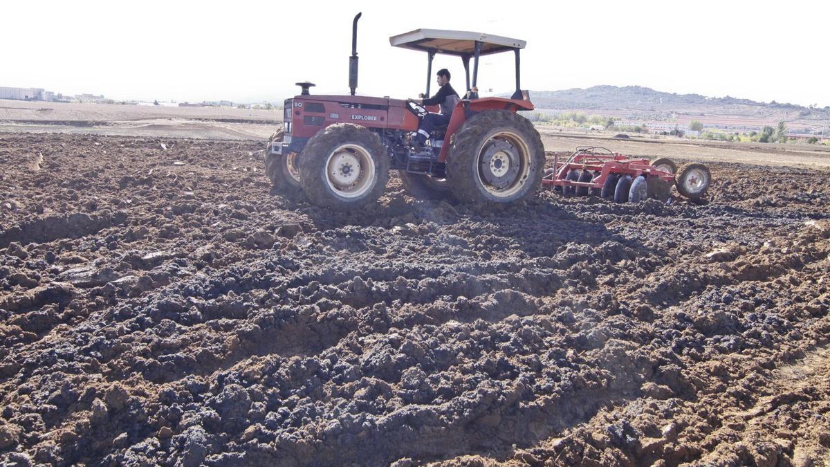 Un tractor realiza labores de preparación de la tierra cerca de Cáceres.