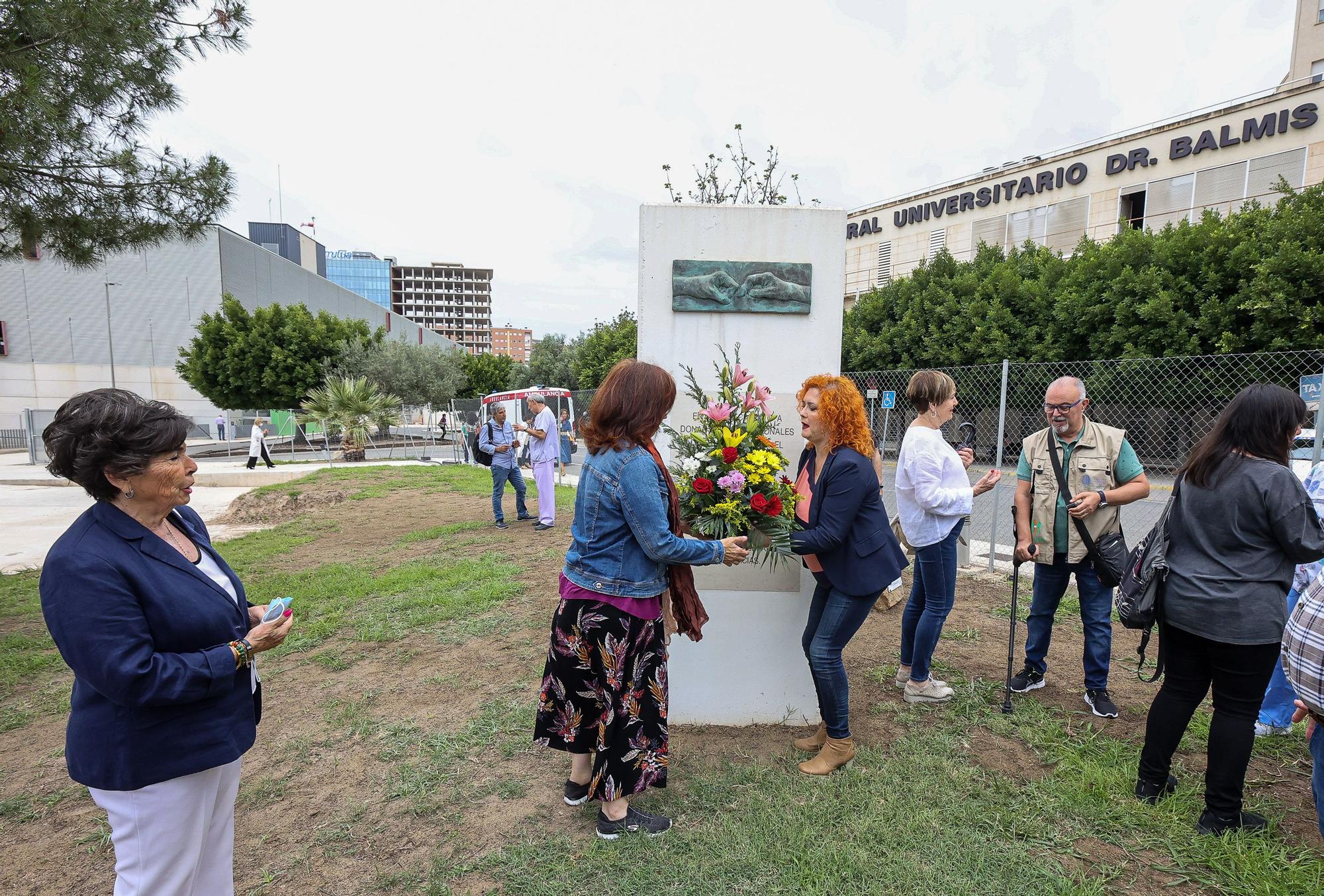 Día del donante de órganos y tejidos en Alicante