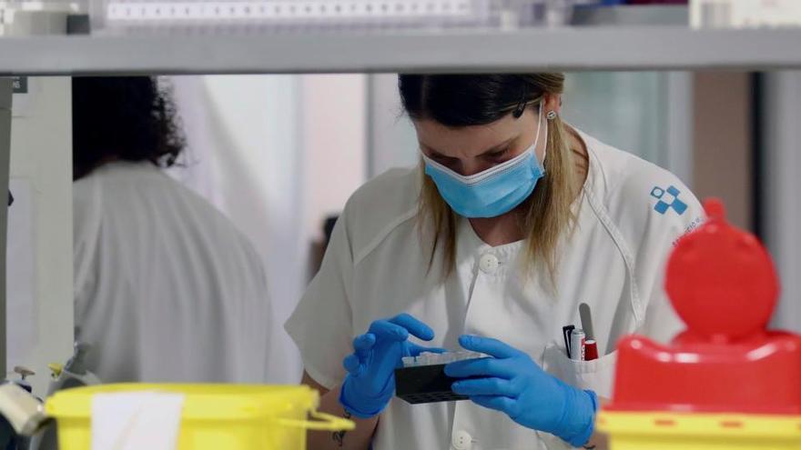 Varios sanitarios trabajan en la cabina de seguridad de un laboratorio de virología.