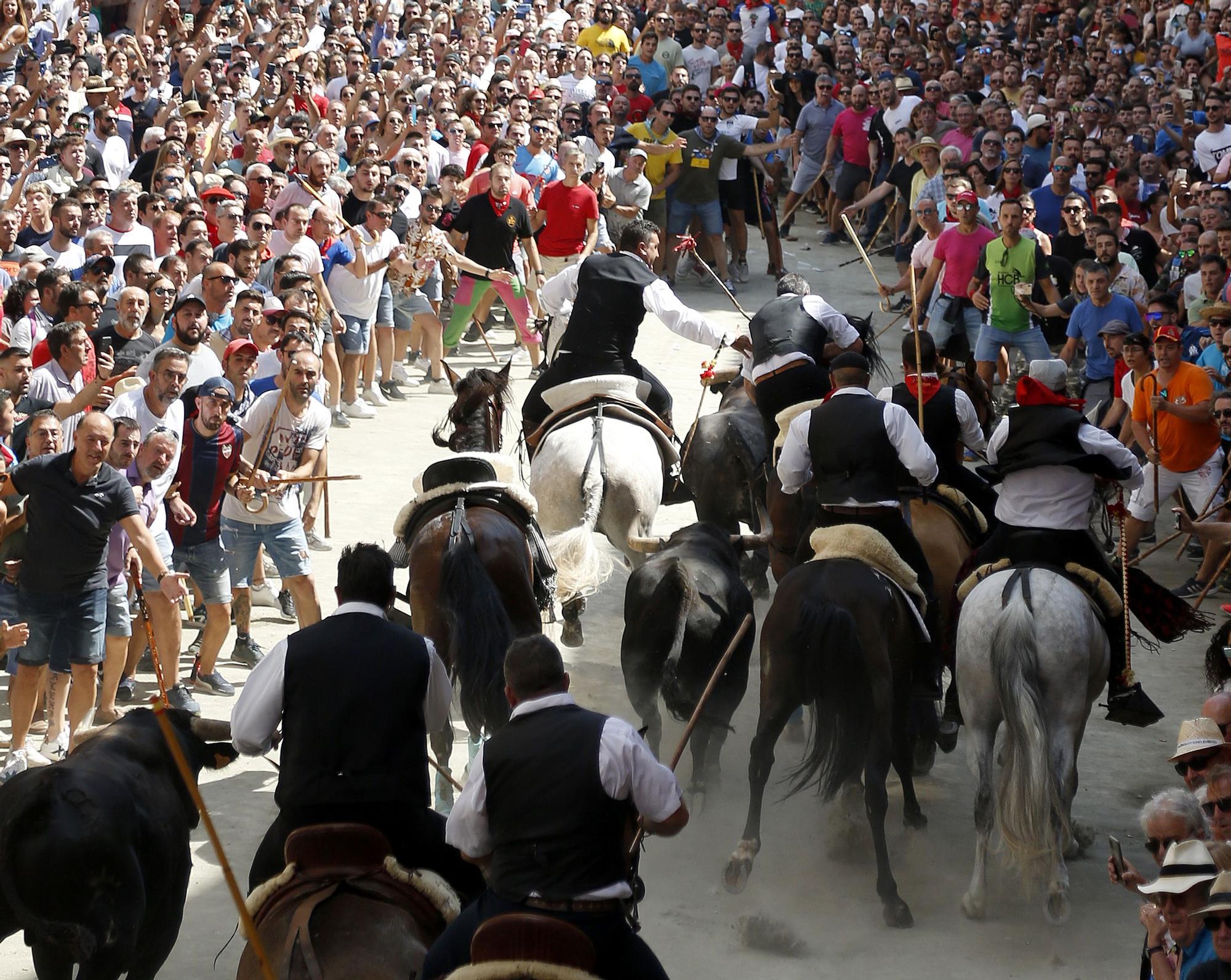 Las fotos de la sexta Entrada de Toros y Caballos de Segorbe