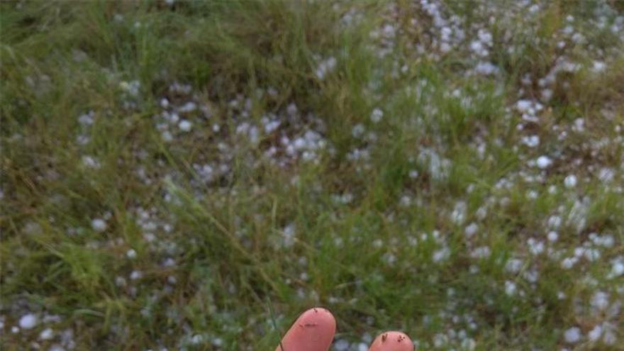 Más de 1.600 rayos caen en la provincia entre lluvia y granizo