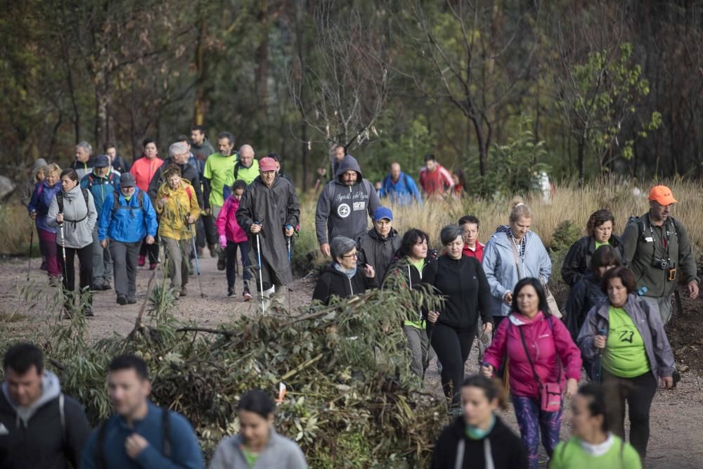 Más de medio millar de personas se citaron esta mañana en Coruxo para recorrer la zona quemada en octubre de 2017.