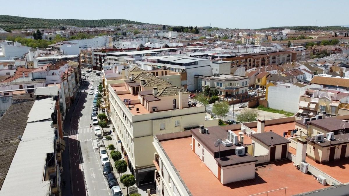 Bloques de viviendas en el casco urbano lucentino.