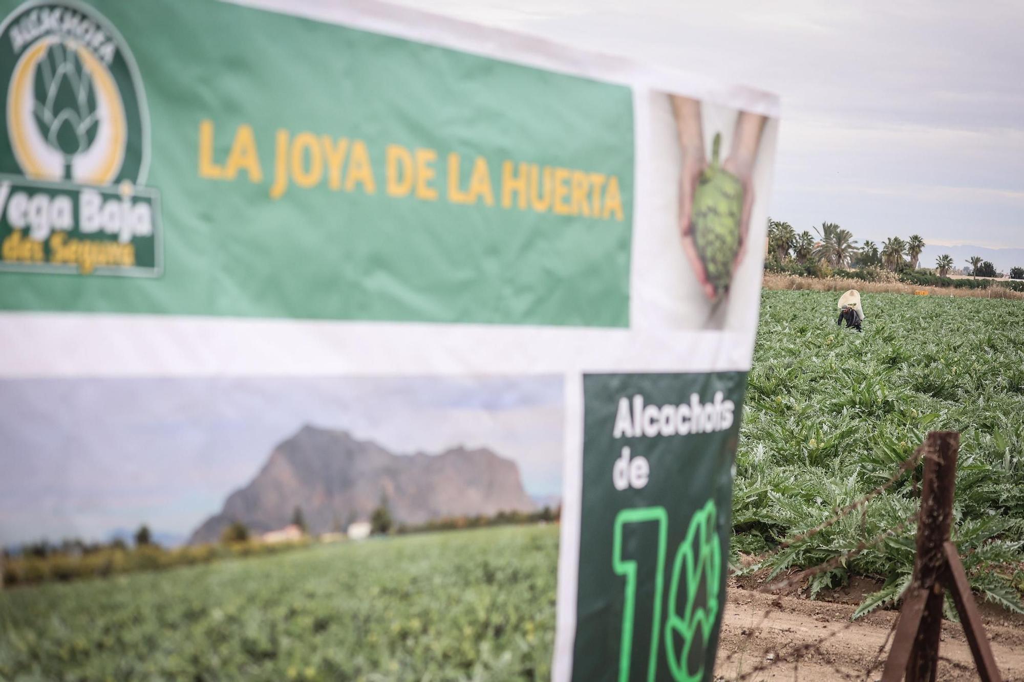 La chef Aurora Torres inaugura la temporada de la alcachofa