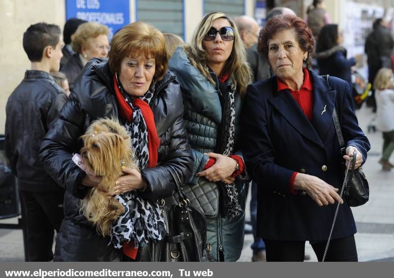 GALERÍA FOTOS - La provincia celebra Sant Antoni