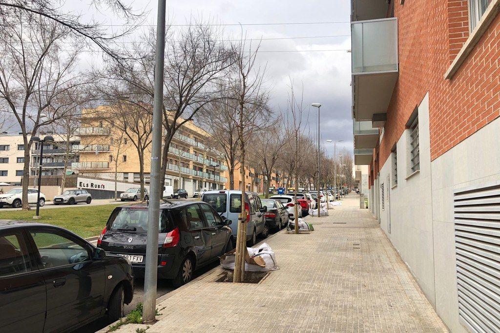 Uno de los puntos donde se plantan nuevos árboles es la avenida Josep Ferrer Domingo