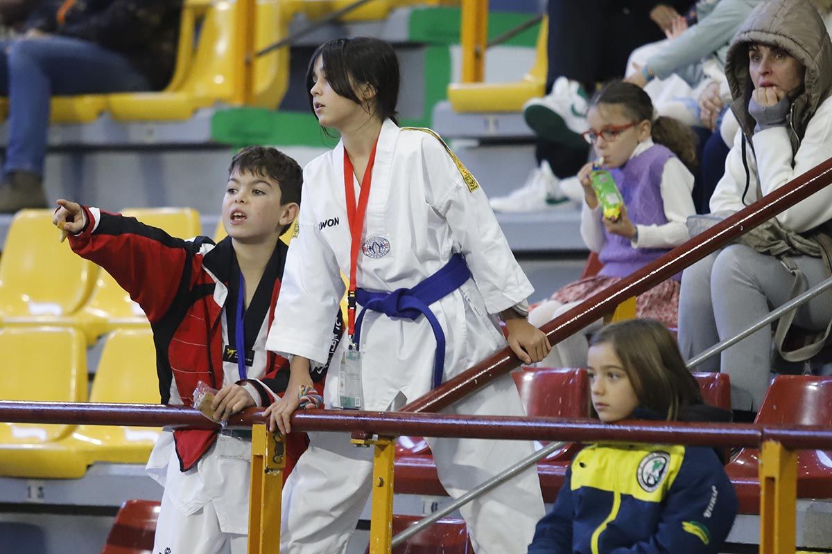 El Open Internacional de Taekwondo de Córdoba, en imágenes