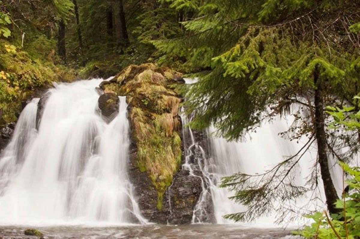 Arroyo cerca de Juneau, la capital del estado de Alaska.