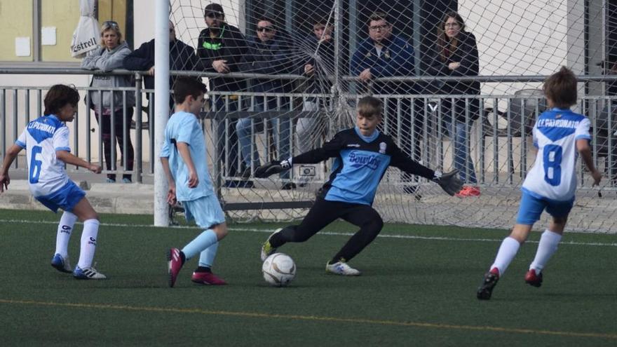 Partido de Alevín primer año Mallorca grupo C Patronato-Ferriolense