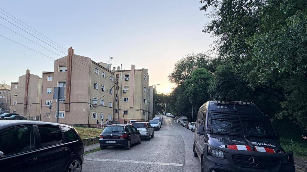 Vídeo: Macrooperació dels Mossos contra una banda dedicada al cultiu i el tràfic de marihuana amb epicentre a les comarques de Girona