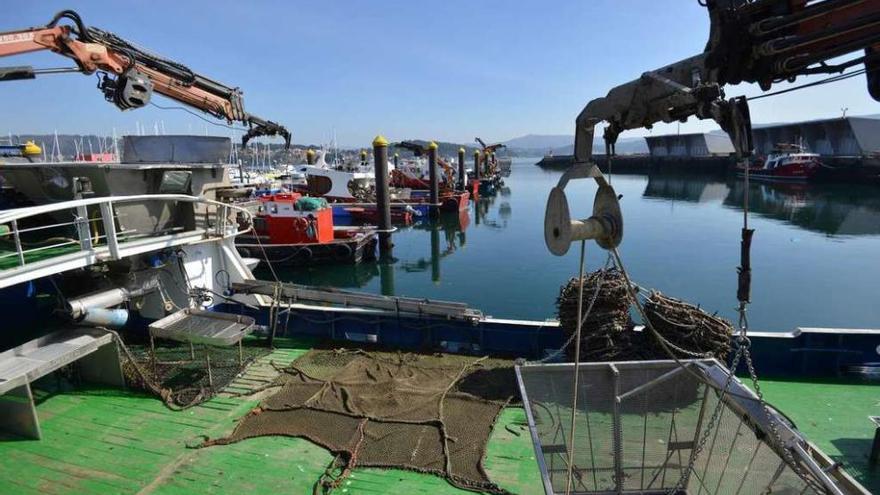 Los barcos bateeiros han permanecido amarrados más de cuatro meses. // G. Santos