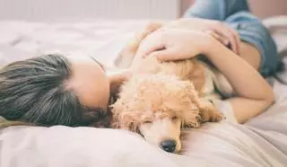 Ventajas y desventajas de dormir con tu mascota