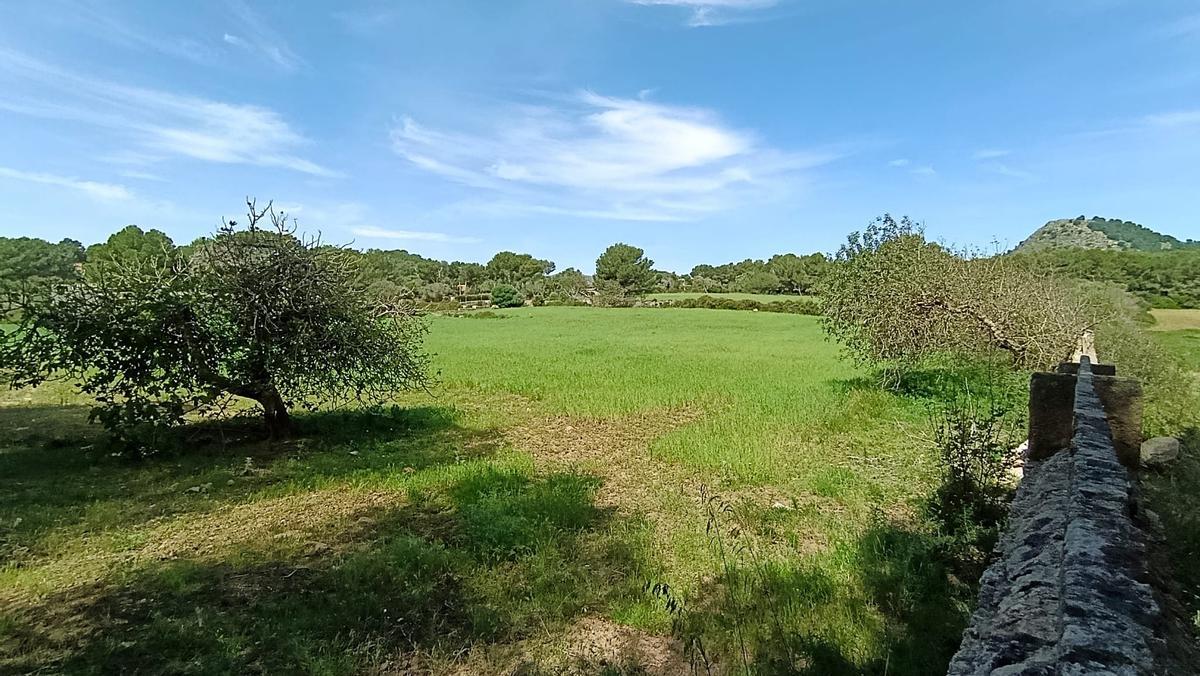 Terrenos colindantes al anterior parking de Cala Agulla.