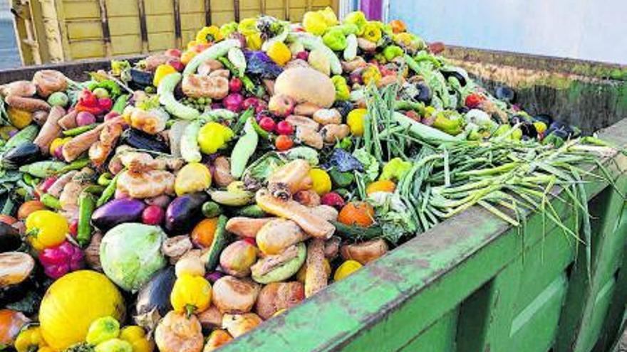 Aliments desaprofitats en un contenidor | SHUTTERSTOCK