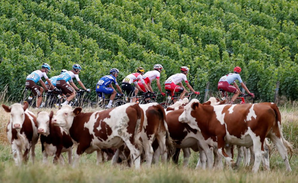 Tour de Francia: La séptima etapa, en imágenes.