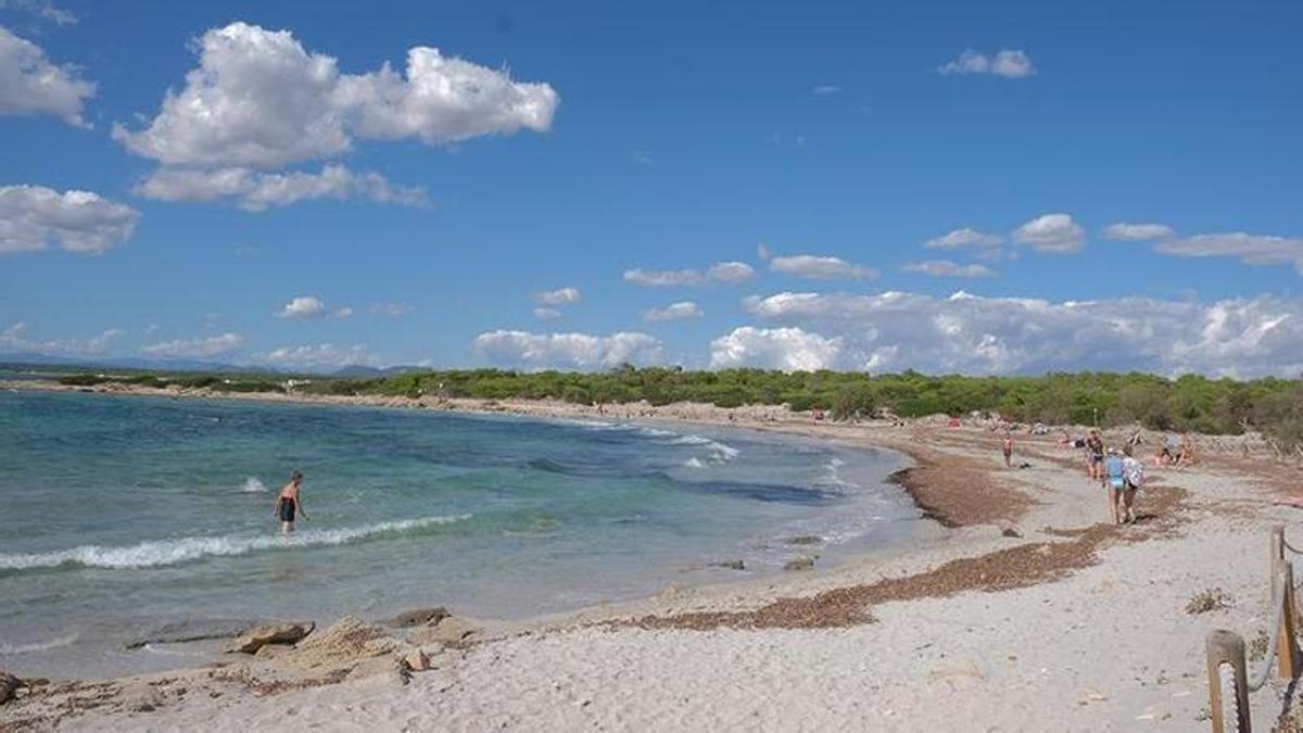 Playa de es Peregons Grans, en el Parque Natural de es Trenc, en Campos.