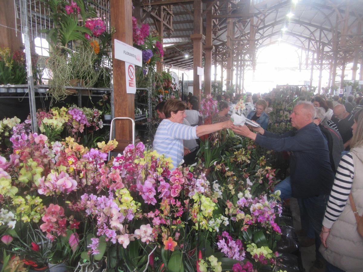 El Antiguo Mercado Municipal de Burjassot, el pasado sábado, en la feria de las orquídeas.