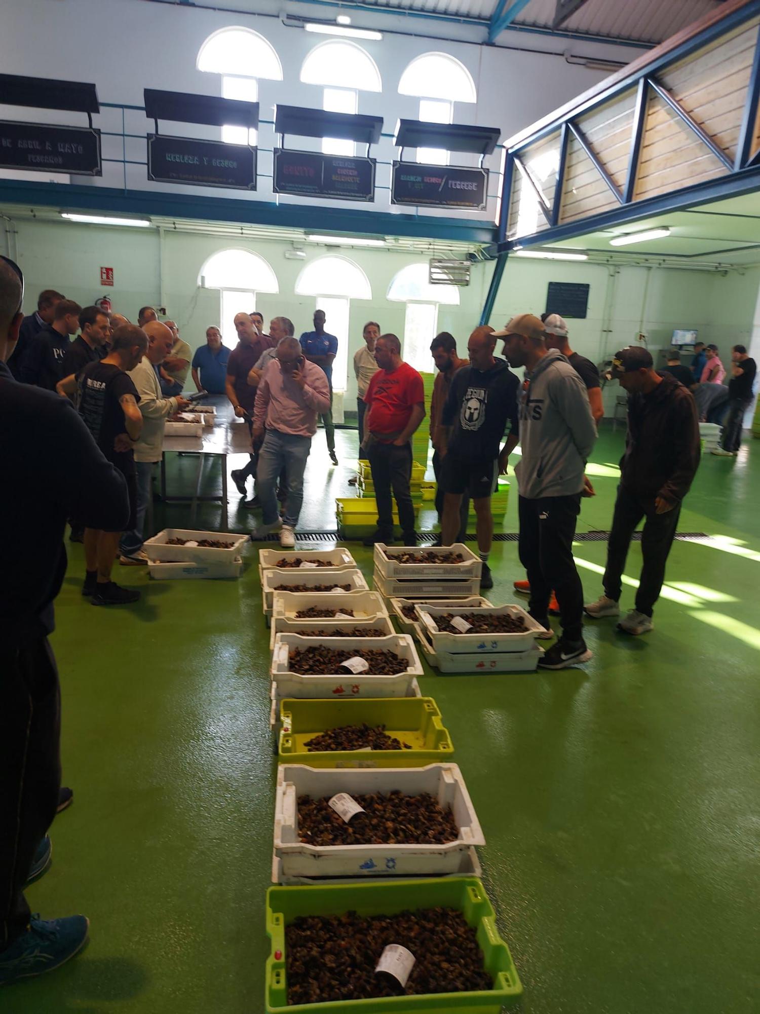 En imágenes: La primera subasta de percebe de la temporada en la rula de Puerto de Vega