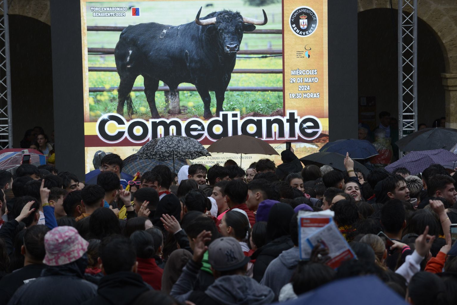 Comediante, el Enmaromado de 2024 de Benavente, entre el agua y el vino