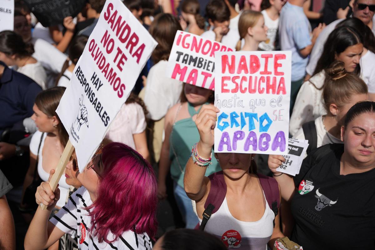 Pancartas durante la huelga general estudiantil en solidaridad con Sandra Peña, víctima de bulling.