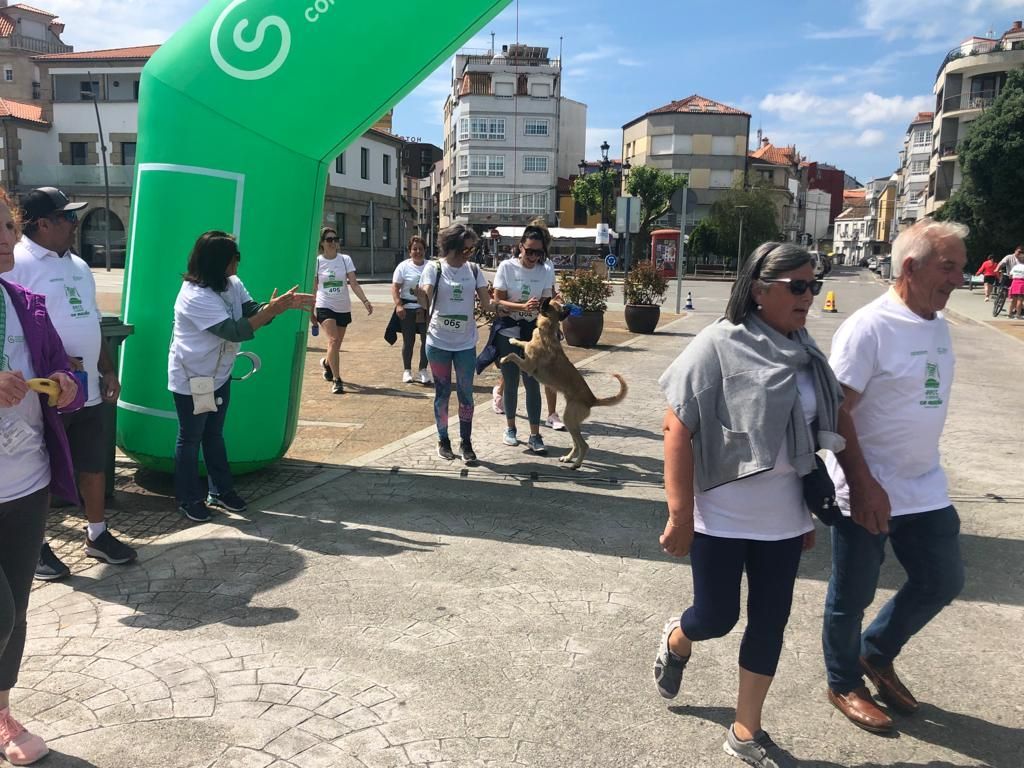 Participantes en la carrera contra el cáncer desarrollada en O Grove.