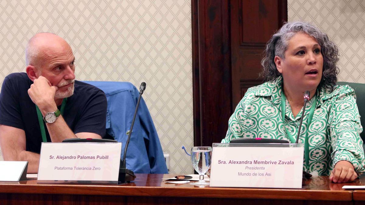 Alejandro Palomas y Alexandra Membrive, supervivientes de abusos, en la comisión del Parlament contra la pederastia en la Iglesia.