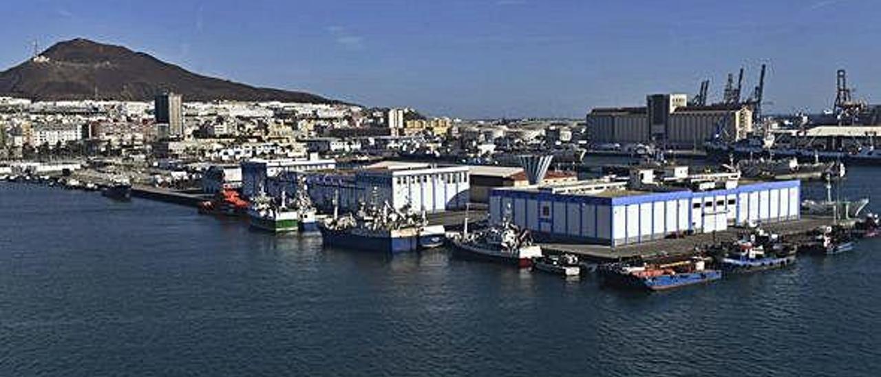 Vista aérea del Muelle Pesquero, en el Puerto de La Luz de la capital grancanaria.