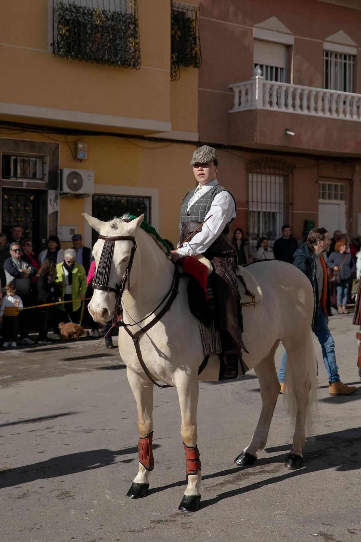 Así ha sido la celebración de San Antón en Cartagena