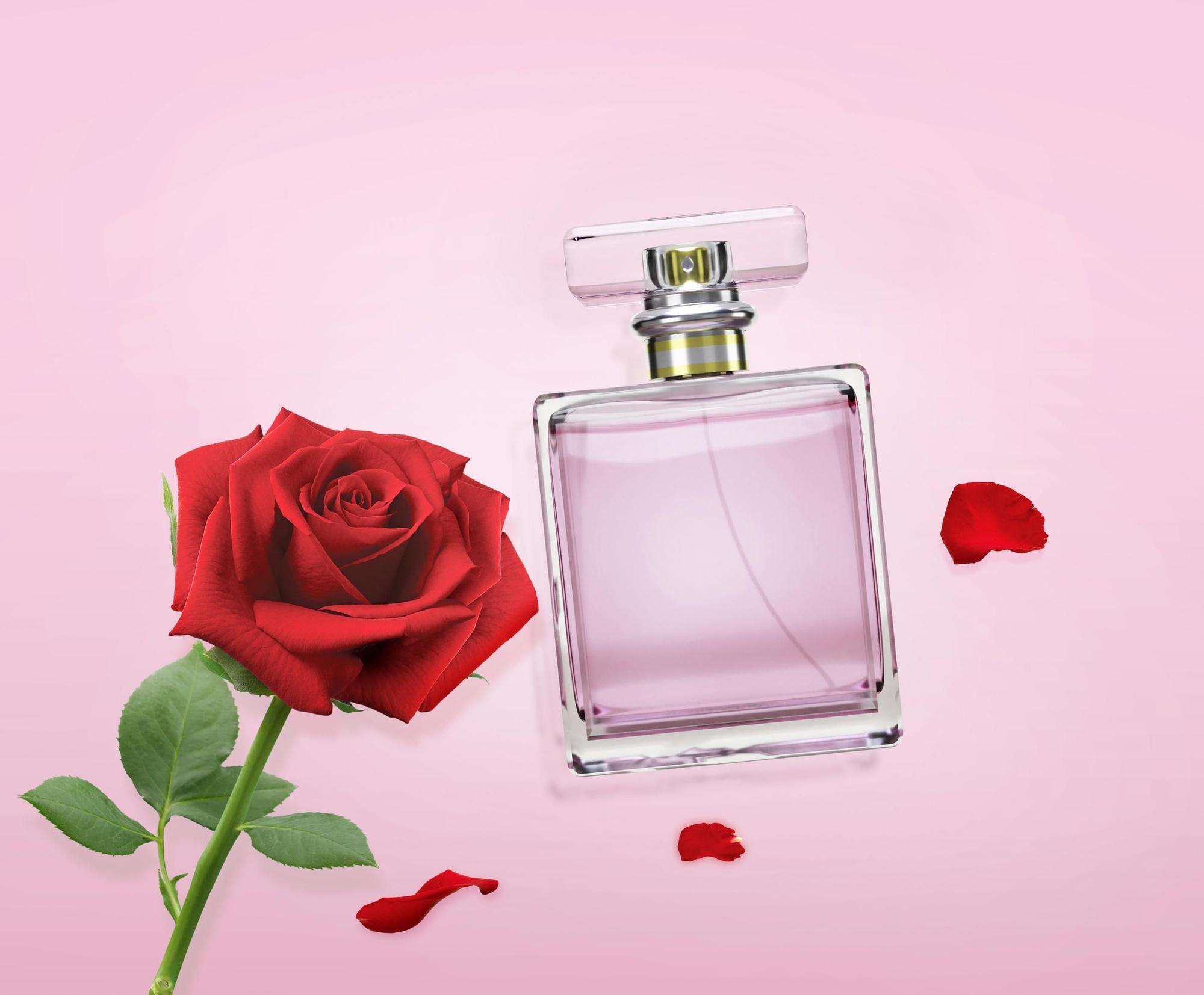 Regalar un perfume en San Valentín es imprescindible y único