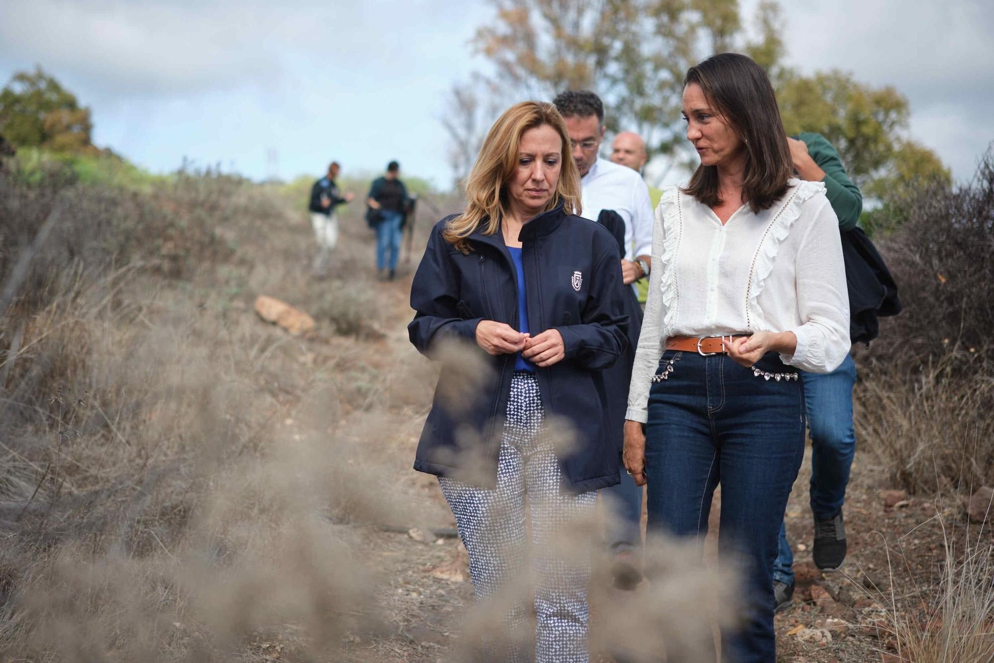 Recuperación ambiental en el Parque de Las Mesas