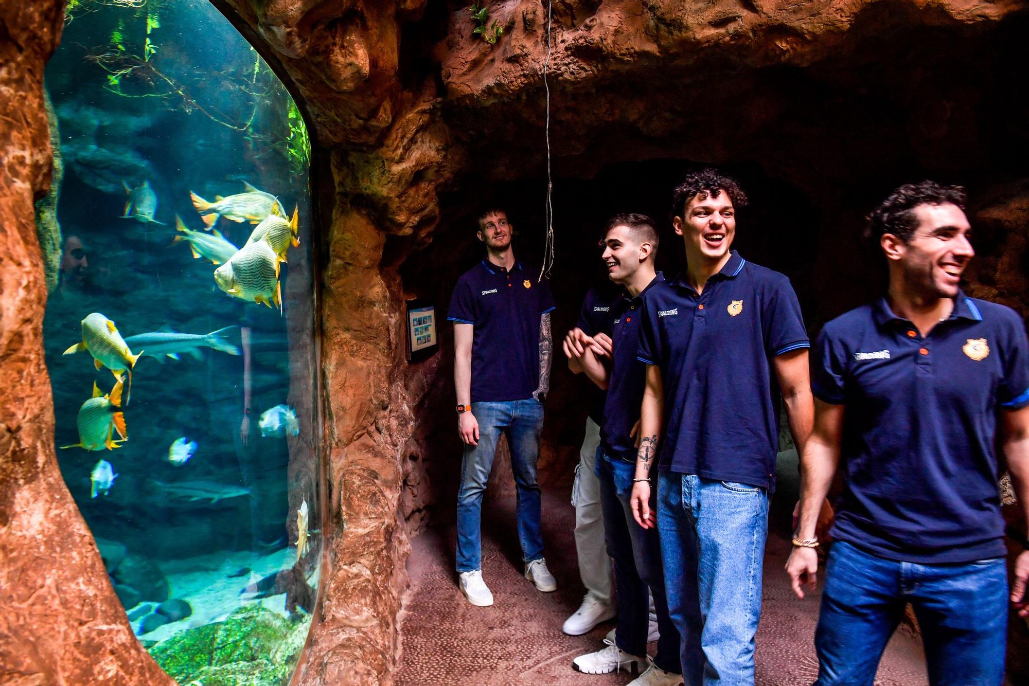 Los jugadores del CB Gran Canaria visitan el acuario Poema del Mar