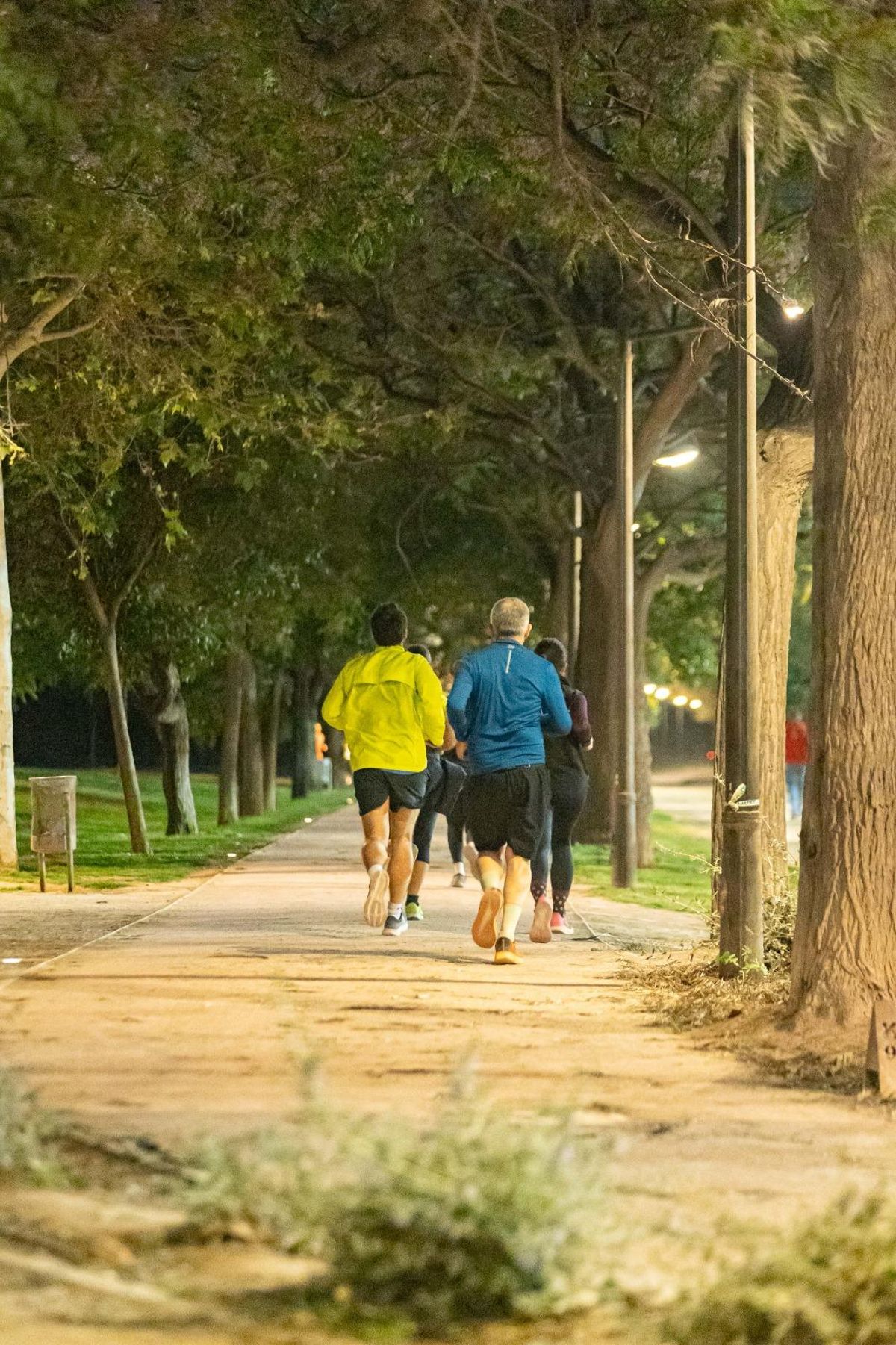 Circuito de corredores del Jardín del Turia