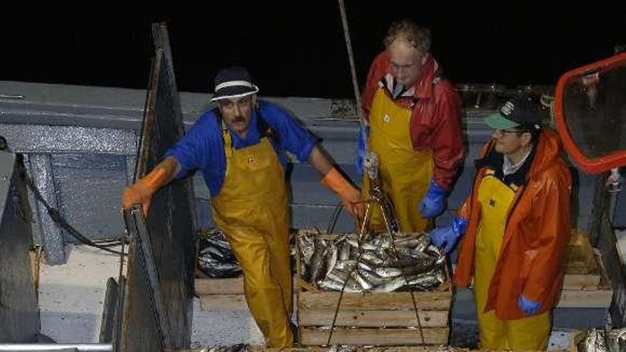 Descargas de jurel en el puerto de A Coruña. / juan varela