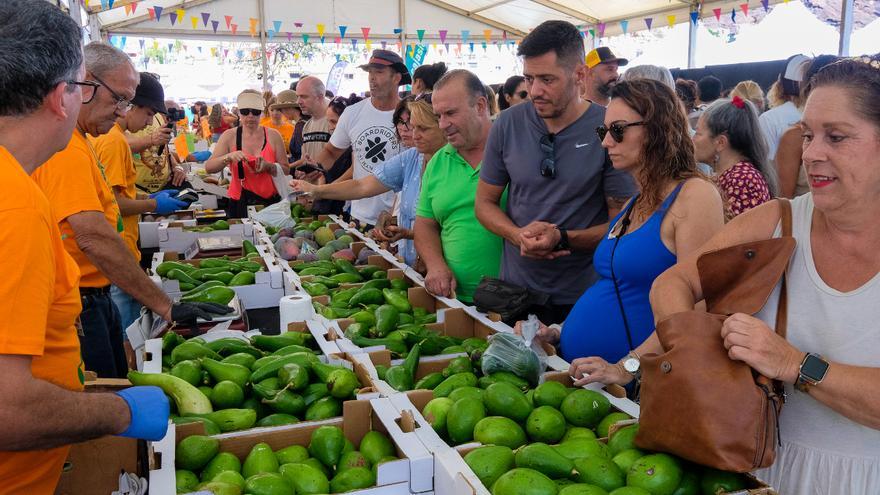 Mogán saca a la venta sus aguacates y sus mangos a precio de ganga