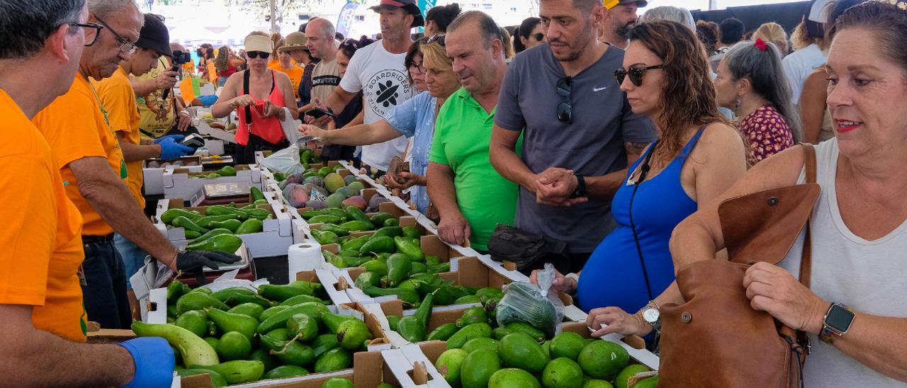 VI Feria del Mango y Aguacate de verano