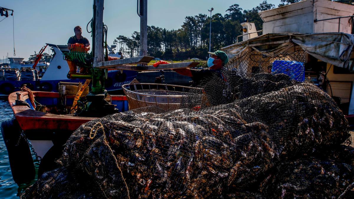 Descargas efectuadas ayer en Arousa.