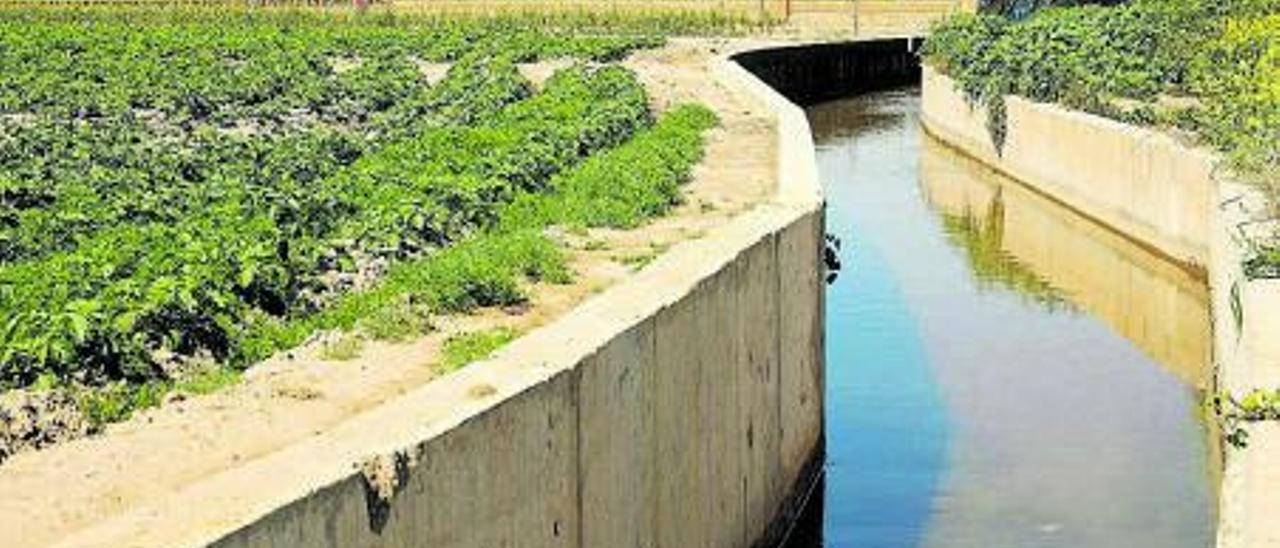 Acequia en la huerta  de Alboraia. |Ana Escobar